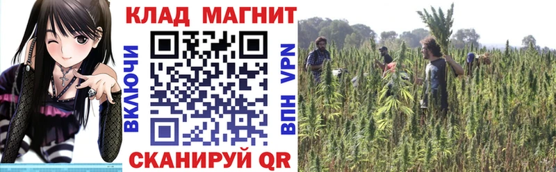 Наркотические вещества Ясногорск omg tor  ГАШИШ  Каннабис  COCAIN  APVP  Псилоцибиновые грибы 