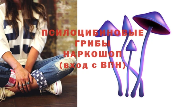 экстази Богородск