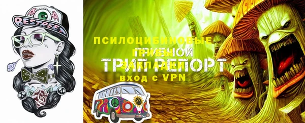 мдма Богданович