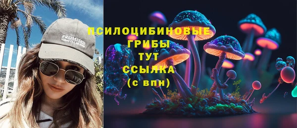экстази Богородск