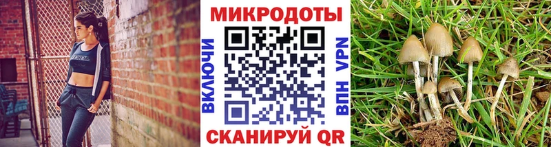 Галлюциногенные грибы прущие грибы  купить закладку  Ясногорск 